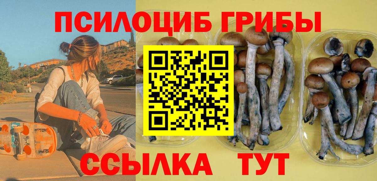 Псилоцибиновые грибы мицелий  Псилоцибиновые грибы Magic Shrooms  Вход с VPN  Старый Оскол 