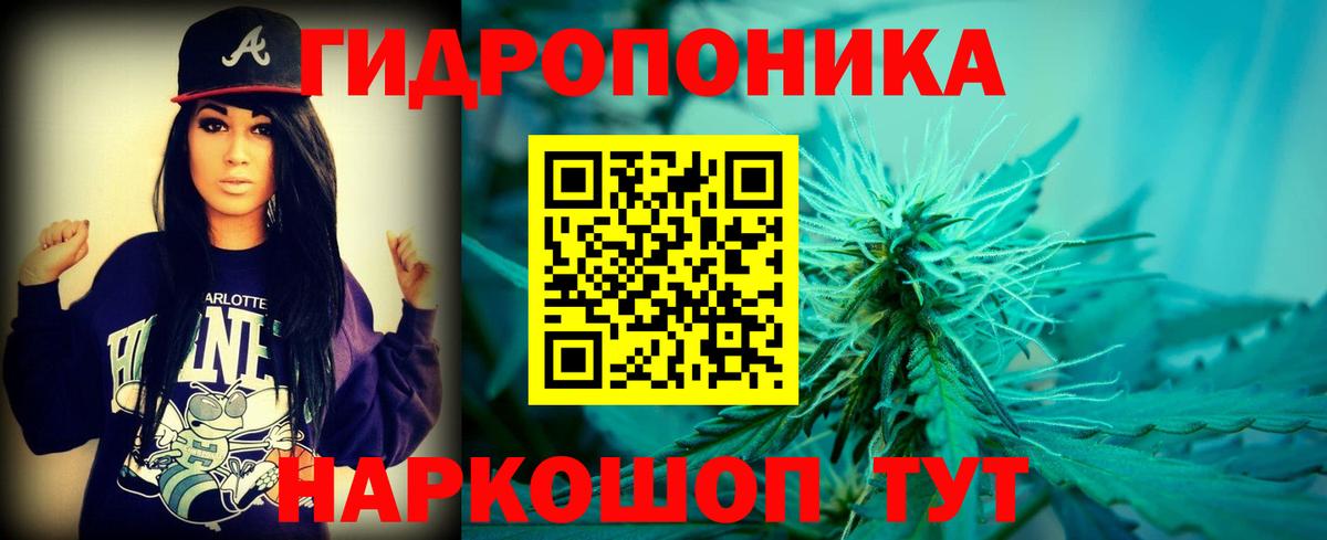 Конопля Bruce Banner  Каннабис Bruce Banner  Старый Оскол  Бошки марихуана сатива  МАРИХУАНА индика  Вход с VPN 